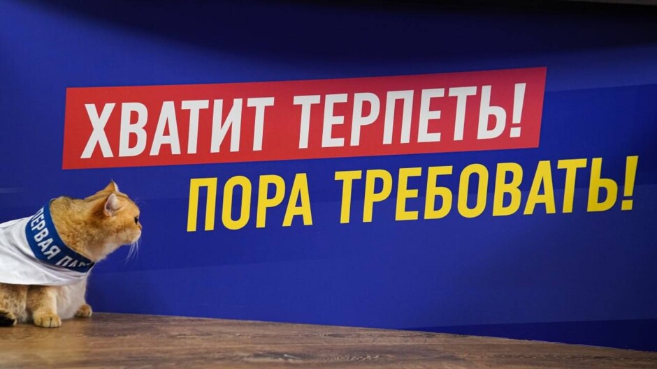 ЛДПР запустила центр наблюдения «Кольчуга» и привлекла внимание необычным пиар-ходом