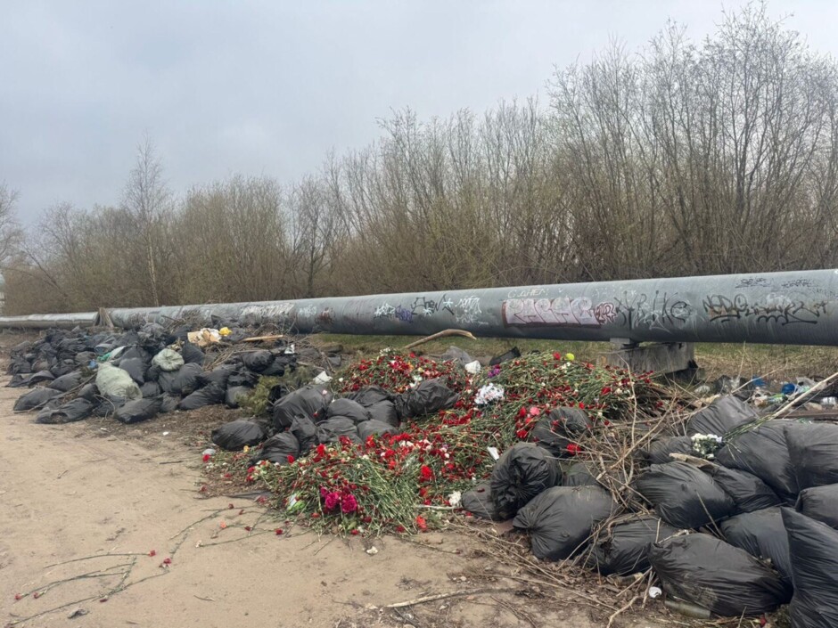 В Архангельске цветы и Георгиевские ленты выкинули на свалку